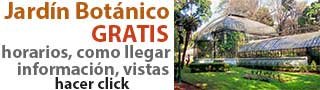 jardin botanico
