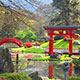 jardin japones