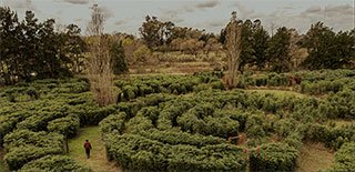 Laberinto Pampa en San Antonio de Areco