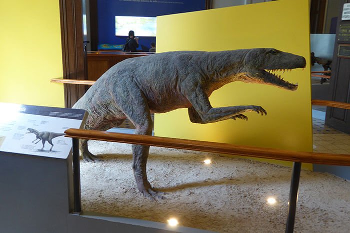 museo la plata dinosaurios