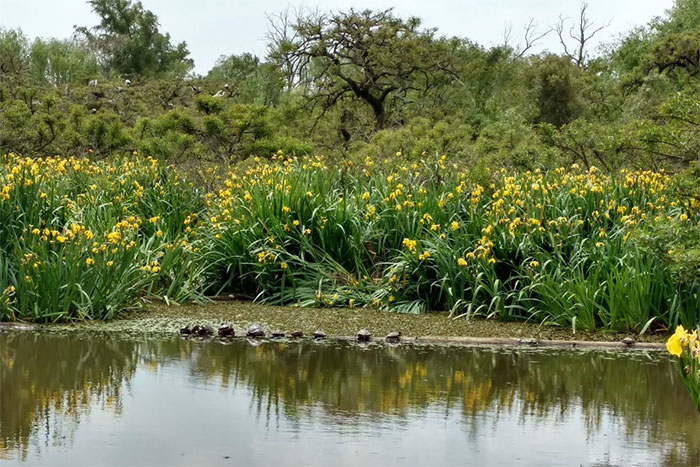 reserva natural ribera norte