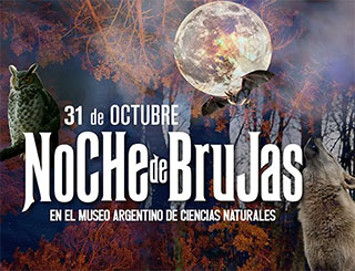 noche de brujas en el museo